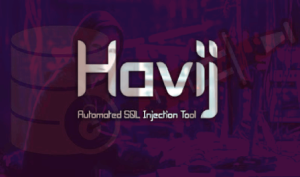 Havij Pro 1.18 Crack Full Version Download 2023